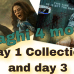 Baaghi 4 movie collection