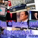 tesla share price forecast